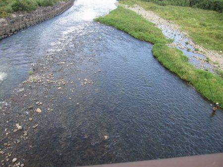 狩野川(狩野川漁業協同組合) 釣果