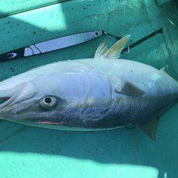 広進丸 釣果