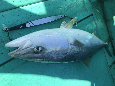広進丸 釣果