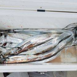 遊漁船　ニライカナイ 釣果