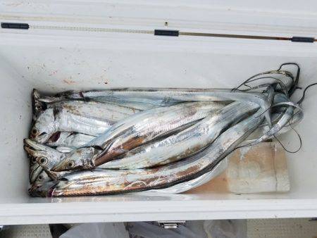 遊漁船　ニライカナイ 釣果