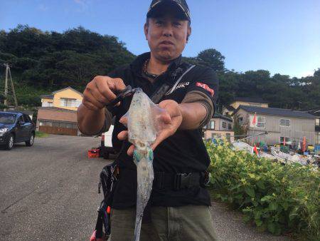 由良渡船 釣果