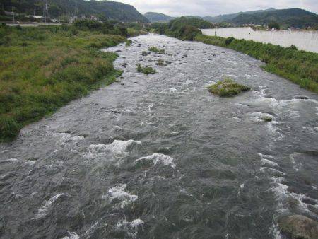 狩野川(狩野川漁業協同組合) 釣果