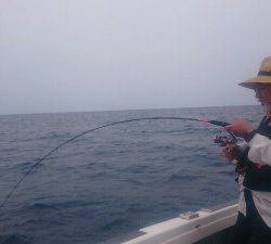 IDATEN（イダテン） 釣果