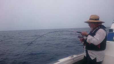 IDATEN（イダテン） 釣果