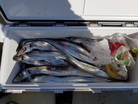 遊漁船 ニライカナイ 釣果