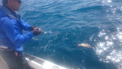 IDATEN（イダテン） 釣果