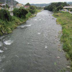 狩野川(狩野川漁業協同組合) 釣果