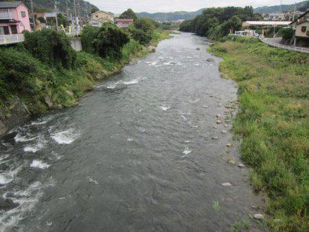 狩野川(狩野川漁業協同組合) 釣果