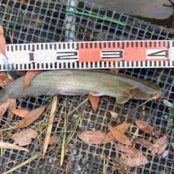 OLAHO　FISHING SPOT 釣果