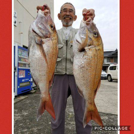 桑田観光 釣果