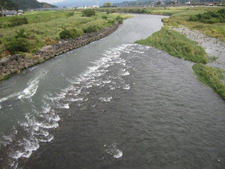狩野川(狩野川漁業協同組合) 釣果