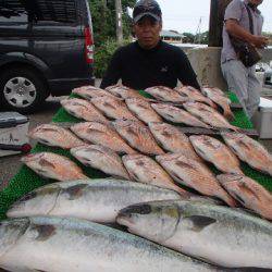 カタタのつり堀 釣果