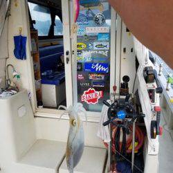 遊漁船 ニライカナイ 釣果