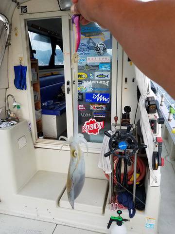 遊漁船 ニライカナイ 釣果