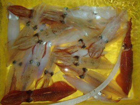 第二むつ漁丸 釣果