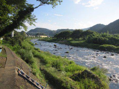 狩野川（狩野川漁業協同組合） 釣果