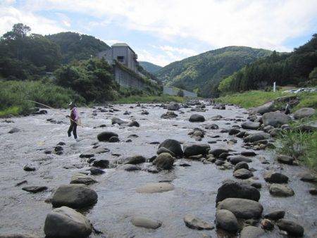 狩野川(狩野川漁業協同組合) 釣果