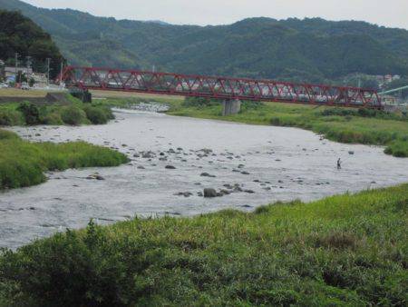 狩野川(狩野川漁業協同組合) 釣果