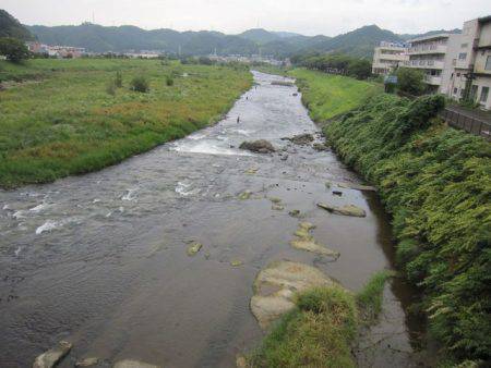 狩野川(狩野川漁業協同組合) 釣果