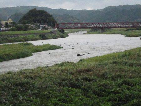 狩野川(狩野川漁業協同組合) 釣果