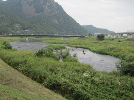 狩野川(狩野川漁業協同組合) 釣果