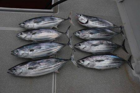 へいみつ丸 釣果