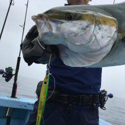松鶴丸 釣果