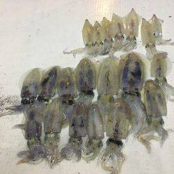 オーシャンズ 釣果