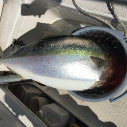 オーシャンズ 釣果