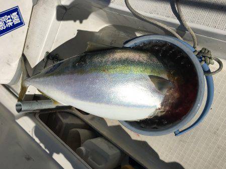 オーシャンズ 釣果