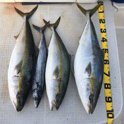 オーシャンズ 釣果