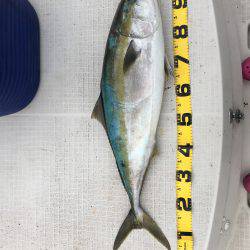 オーシャンズ 釣果