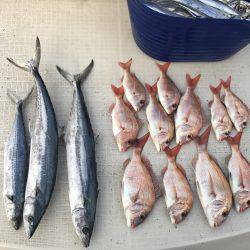 オーシャンズ 釣果