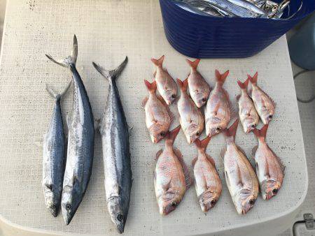 オーシャンズ 釣果