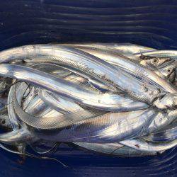 オーシャンズ 釣果