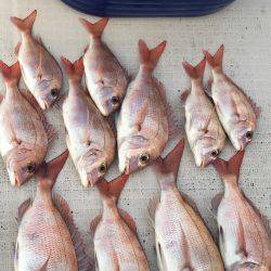 オーシャンズ 釣果