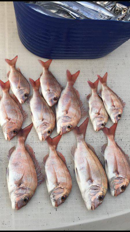 オーシャンズ 釣果