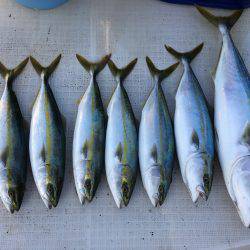 オーシャンズ 釣果