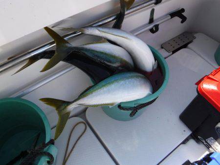 BlueNote Fishing Taxi 釣果