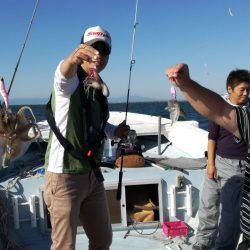 リトルワン 釣果