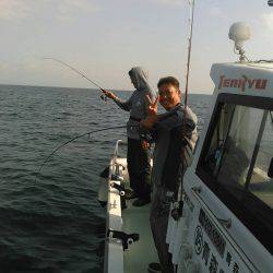 遊漁船ブルーウッズ 釣果