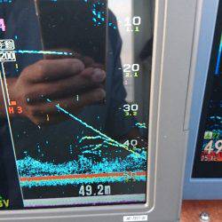 遊漁船ブルーウッズ 釣果