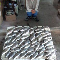 ふじや釣舟店 釣果