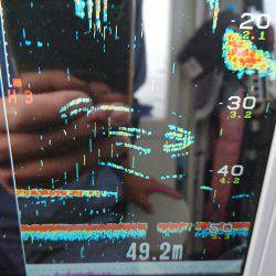 遊漁船ブルーウッズ 釣果