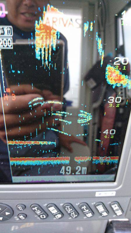 遊漁船ブルーウッズ 釣果