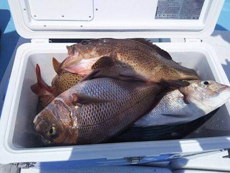 海晴丸 釣果