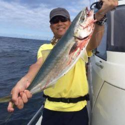 シーモンキー 釣果