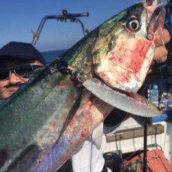 シーモンキー 釣果