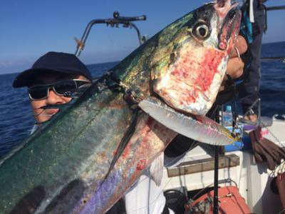 シーモンキー 釣果